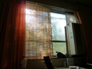 P1000604.jpg