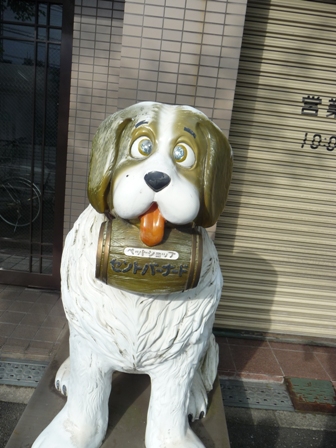 P1130819.jpg