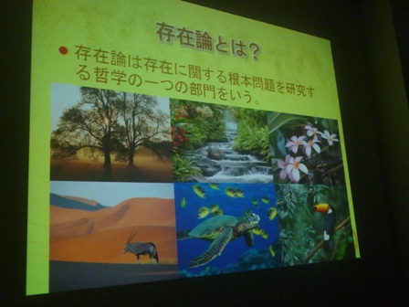 P1140780.jpg