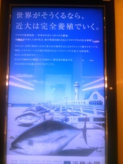 SH3F0027.jpg